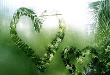 传统佳品百合薏米粥,养生作用一网打尽