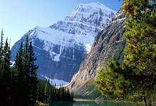 98号油价下,佛山养生之旅推荐